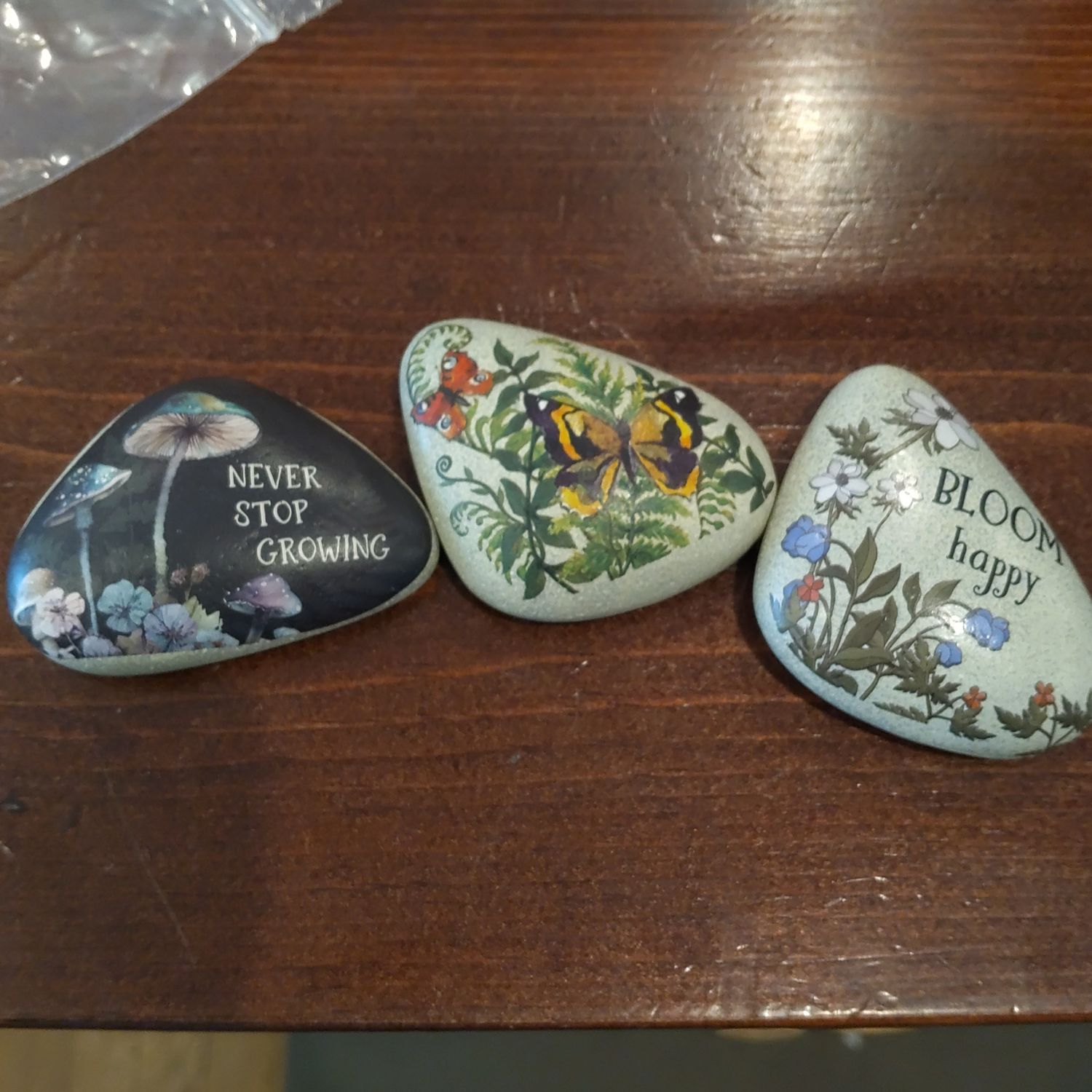 Stones Garden 5.95