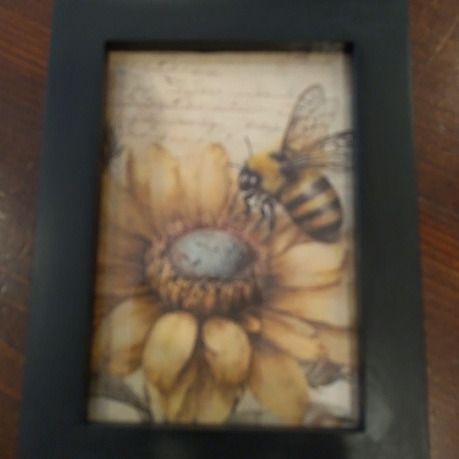 Kc Framed Bee Sm