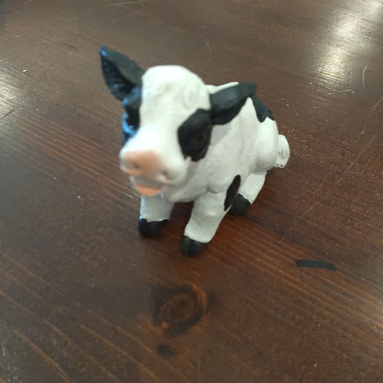 Miniature Cow