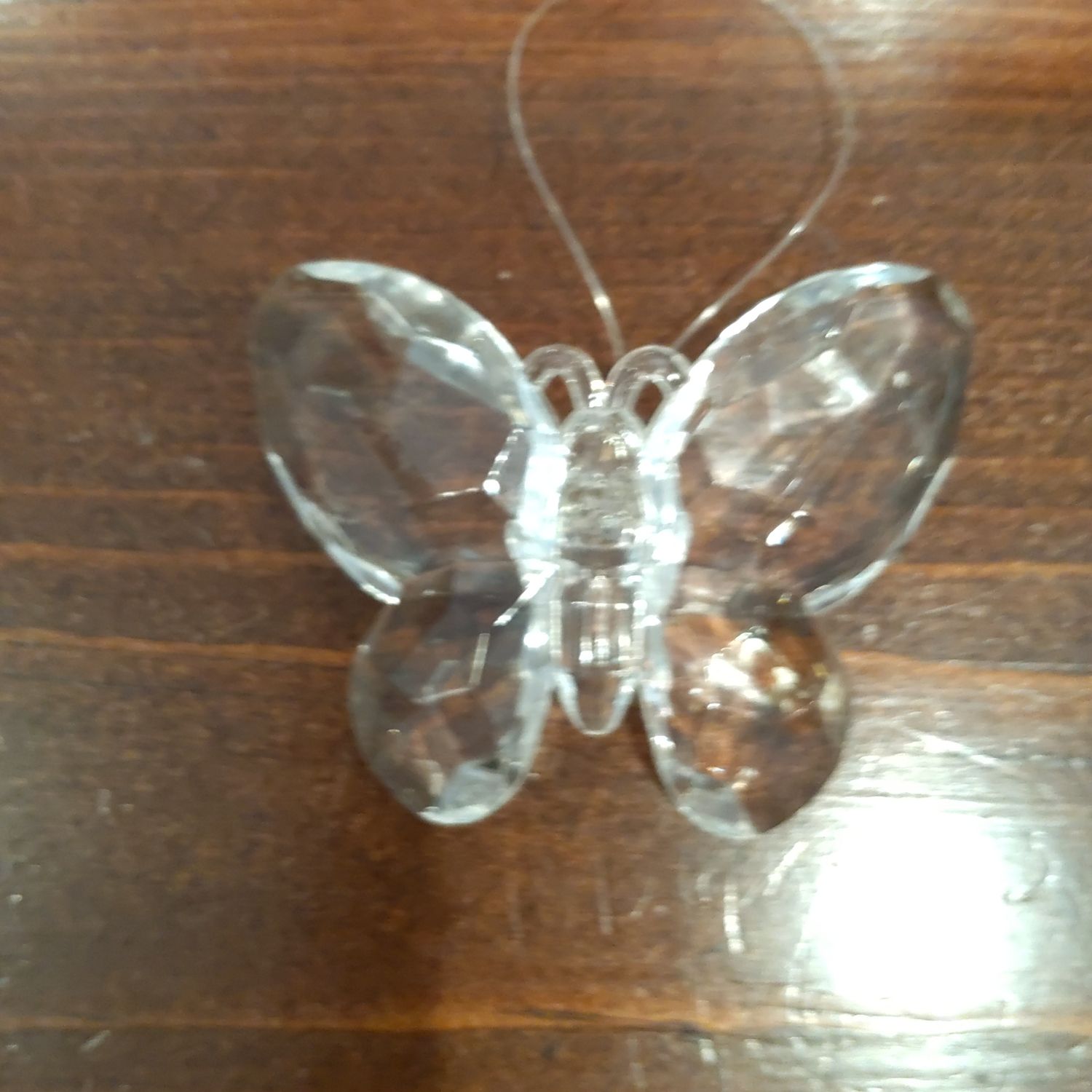 Clear Butterfly