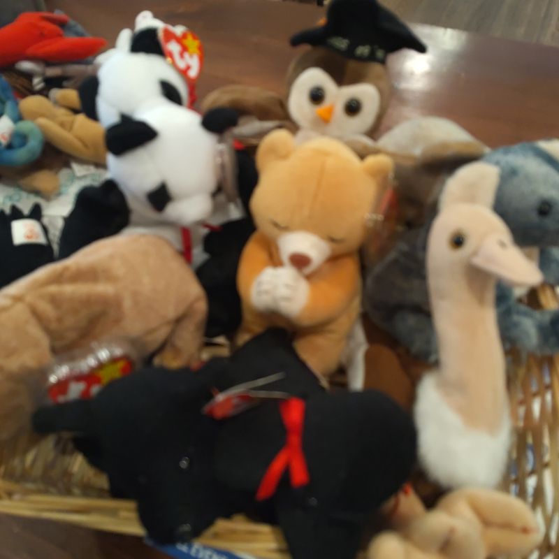 Beanie Babies Full Size