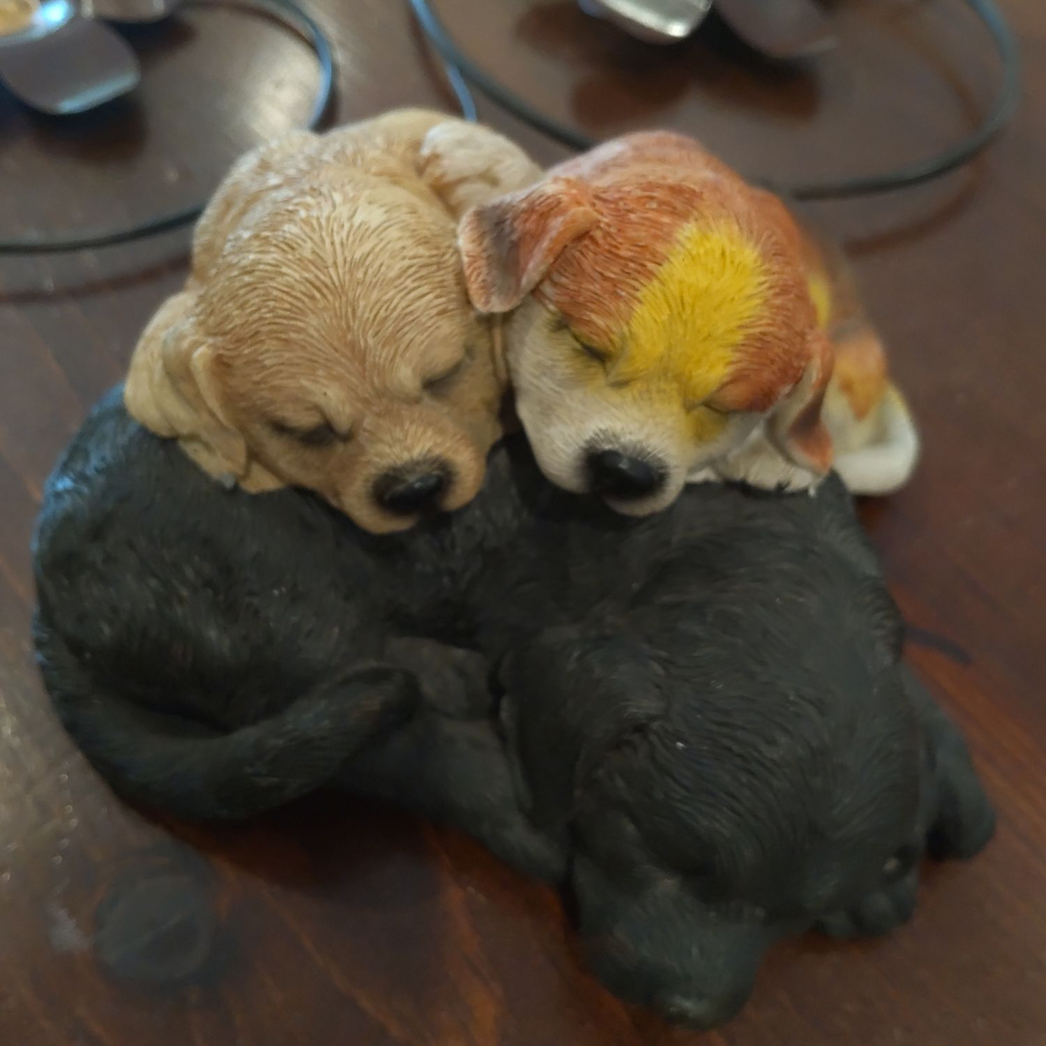 Laying Down Dogs