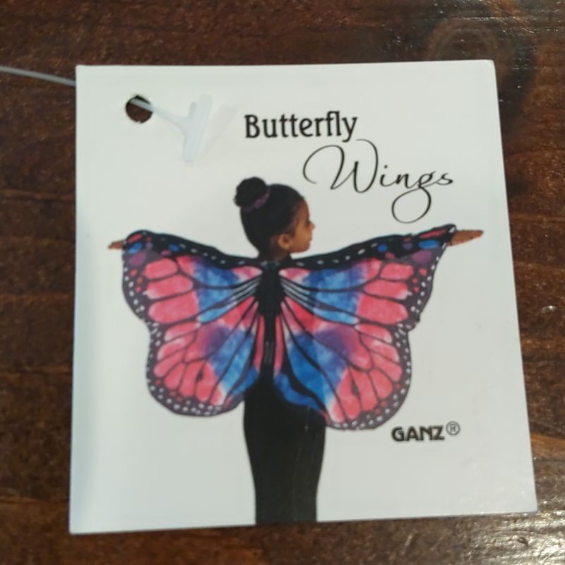 Pink/Blue Butterfly Wings