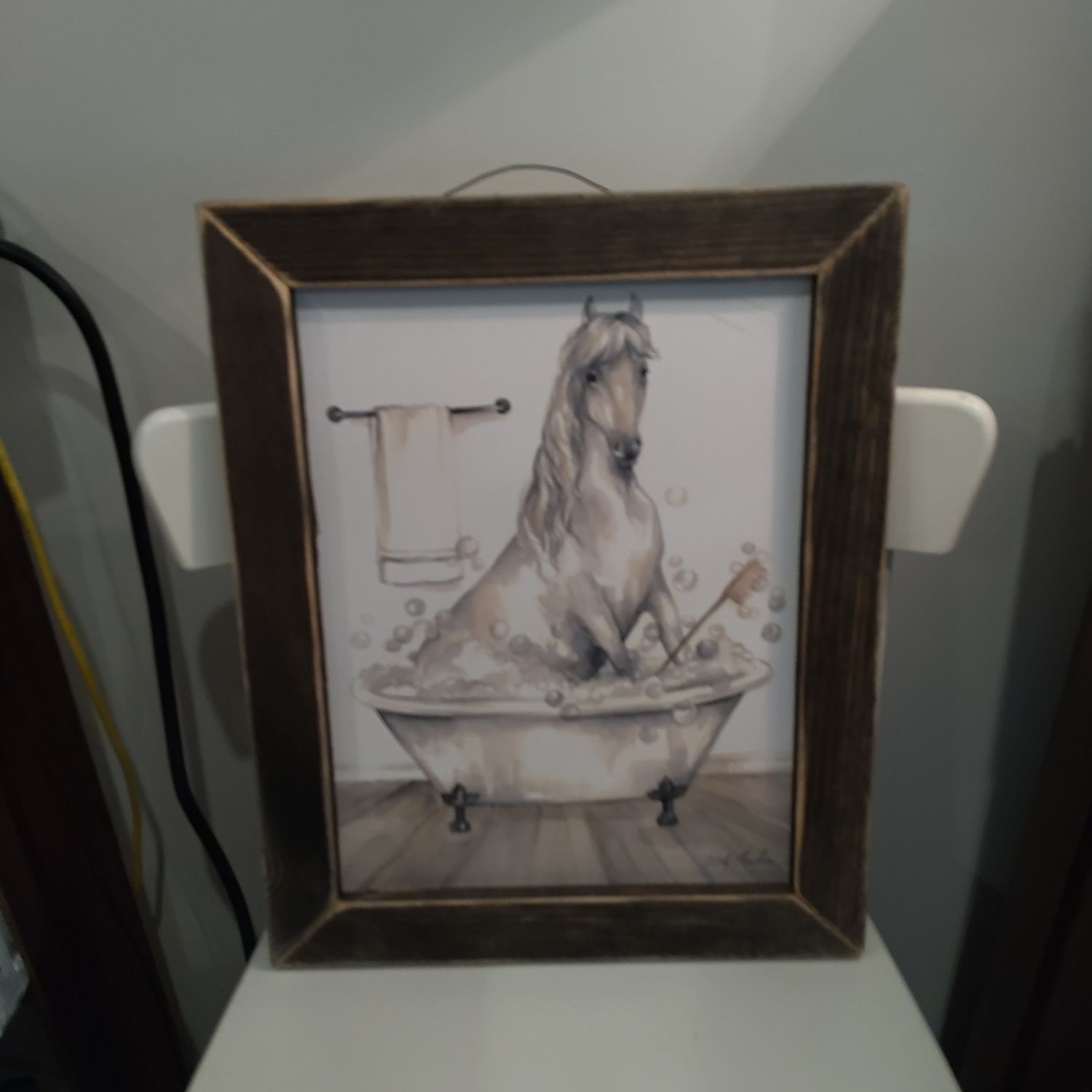 Horse In Tub Pic