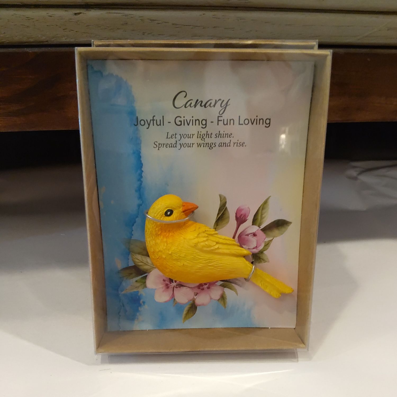 Canary Bird 
