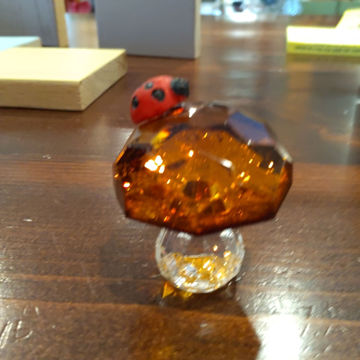 Brown Ladybug W/Lady Bug
