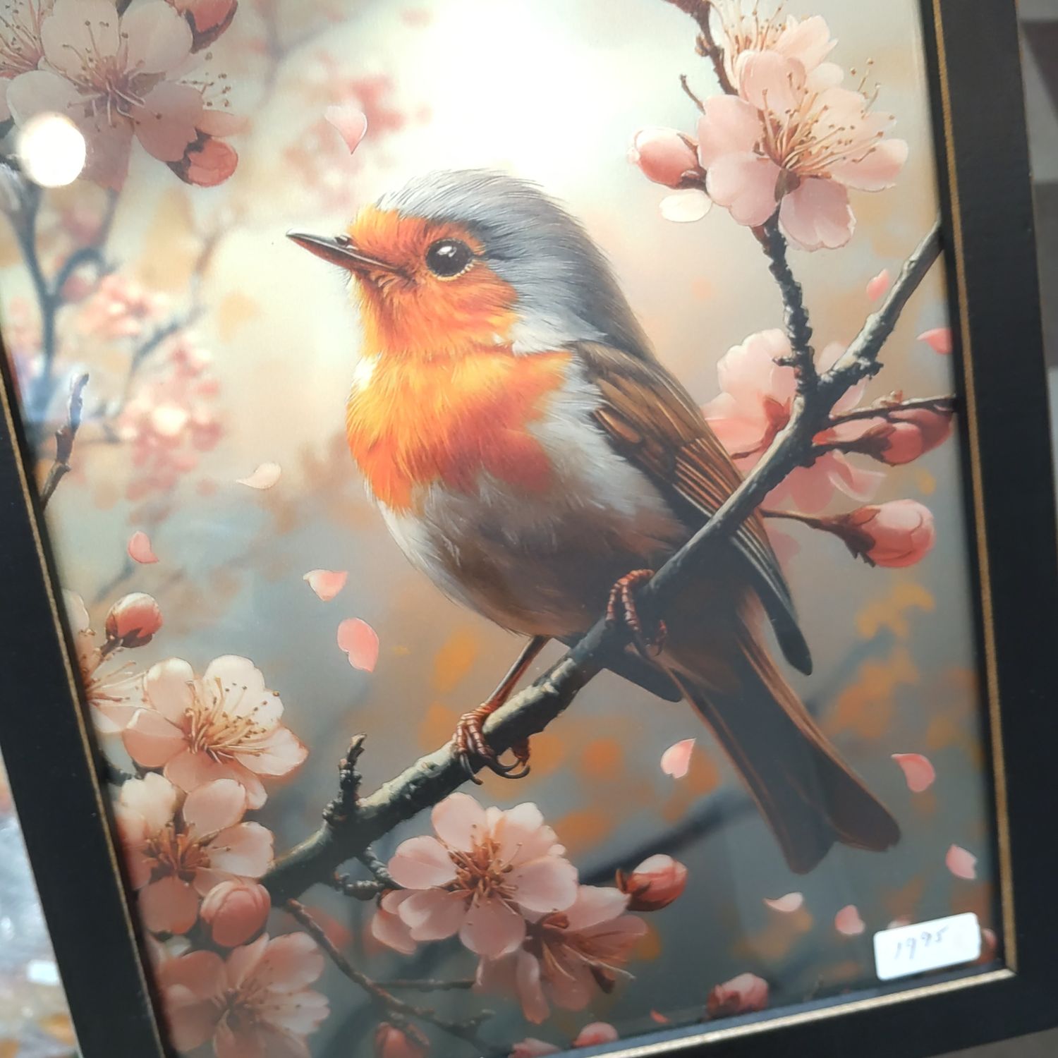 Bird Picture 