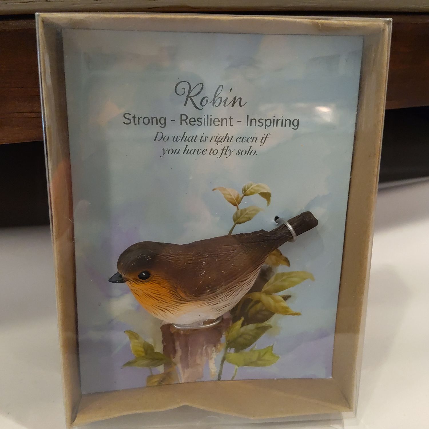 Robin Bird 