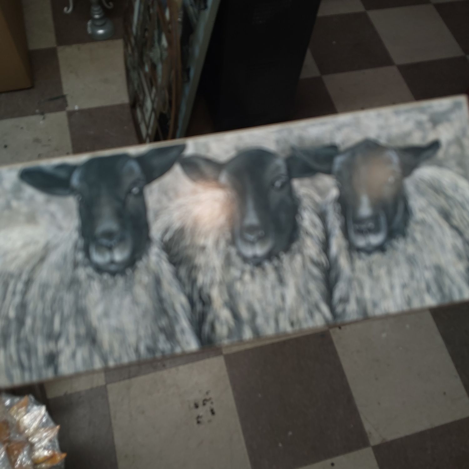 3 Sheep