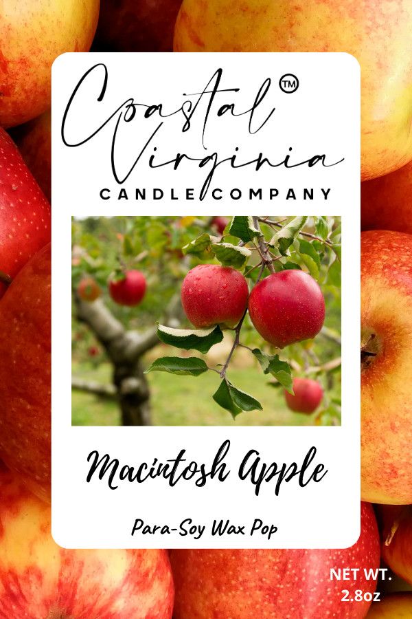 Macintosh Apple Wax Pop