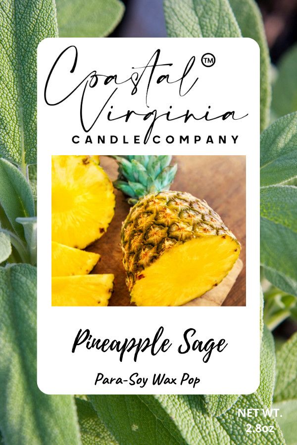 Pineapple Sage Wax Pop