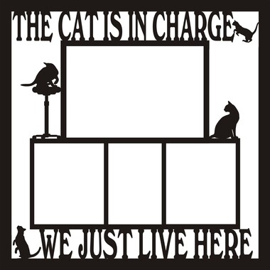 The Cat is in Charge We Just Live Here OverLay