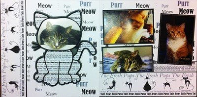 Cat Page Kit