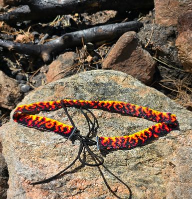 Dessert Flame -Currerntly in stock and ready for it's forever home! 