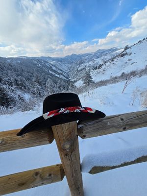 The Beaded Outlaw Hand Beaded Cowboy Hat