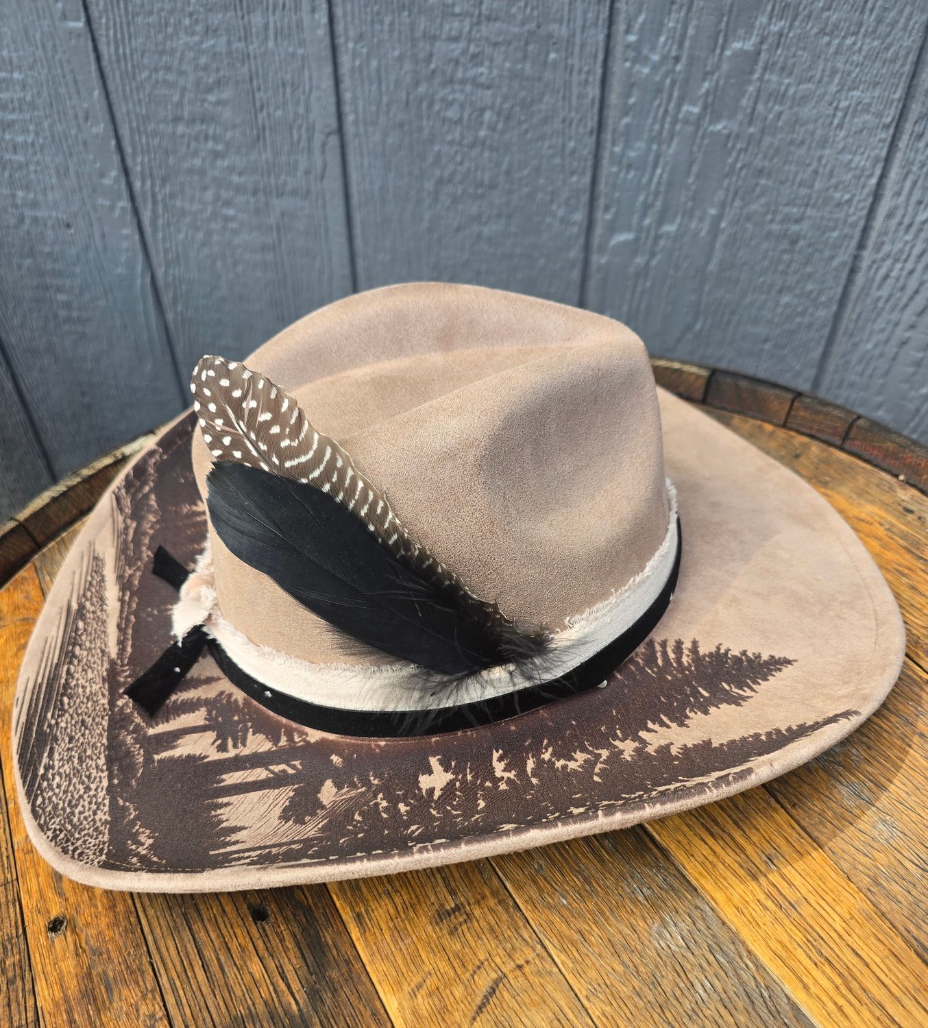 High Country Horizon Cowboy hat