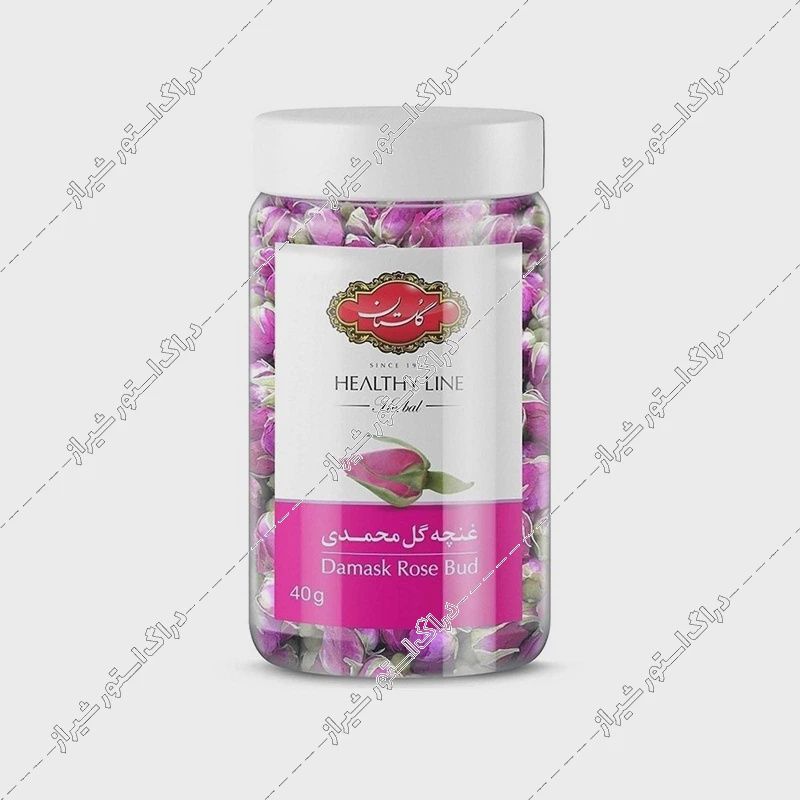 Golestan damask rose bud - گل سرخ