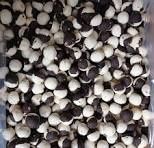 Melond qaraqoroot torsh - قره قوروت ترش