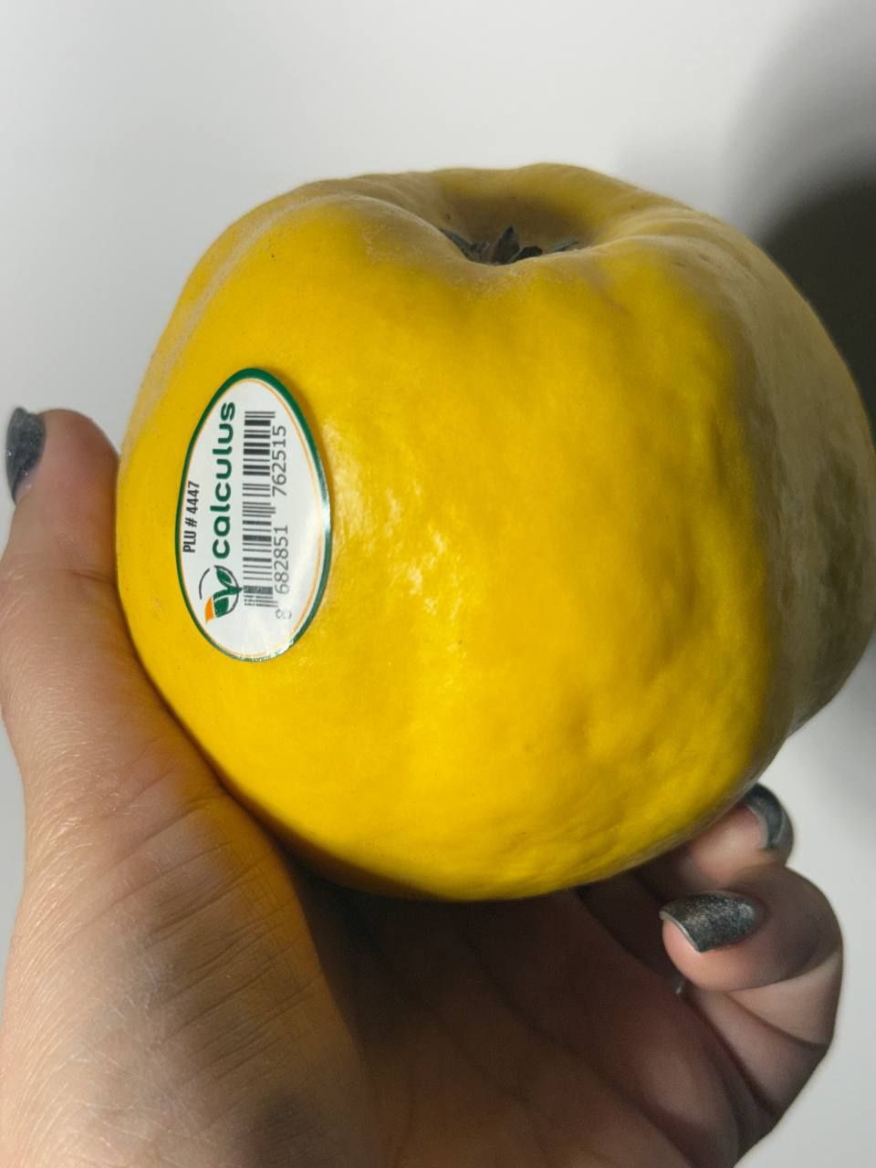 Caclculus Quince - به تازه