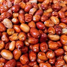 Russian Olive - سنجد