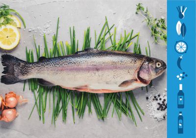 Rainbow Trout Whole - ماهی تروت کامل
