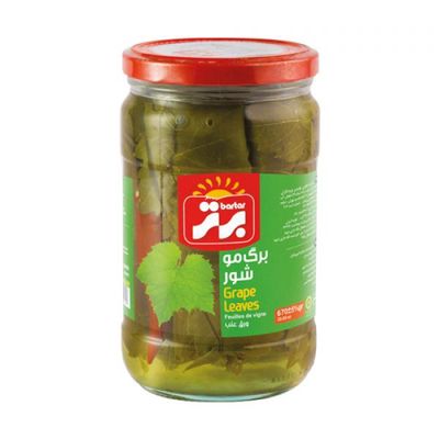 Bartar Grape Leaf - برگ مو برتر