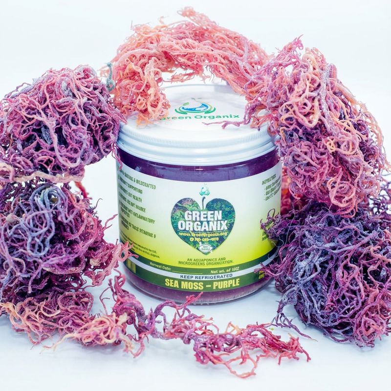 100% Raw Wildcrafted Sea Moss Gel 8 oz - Purple 100% Raw Wildcrafted Sea Moss Gel 8 oz - Purple