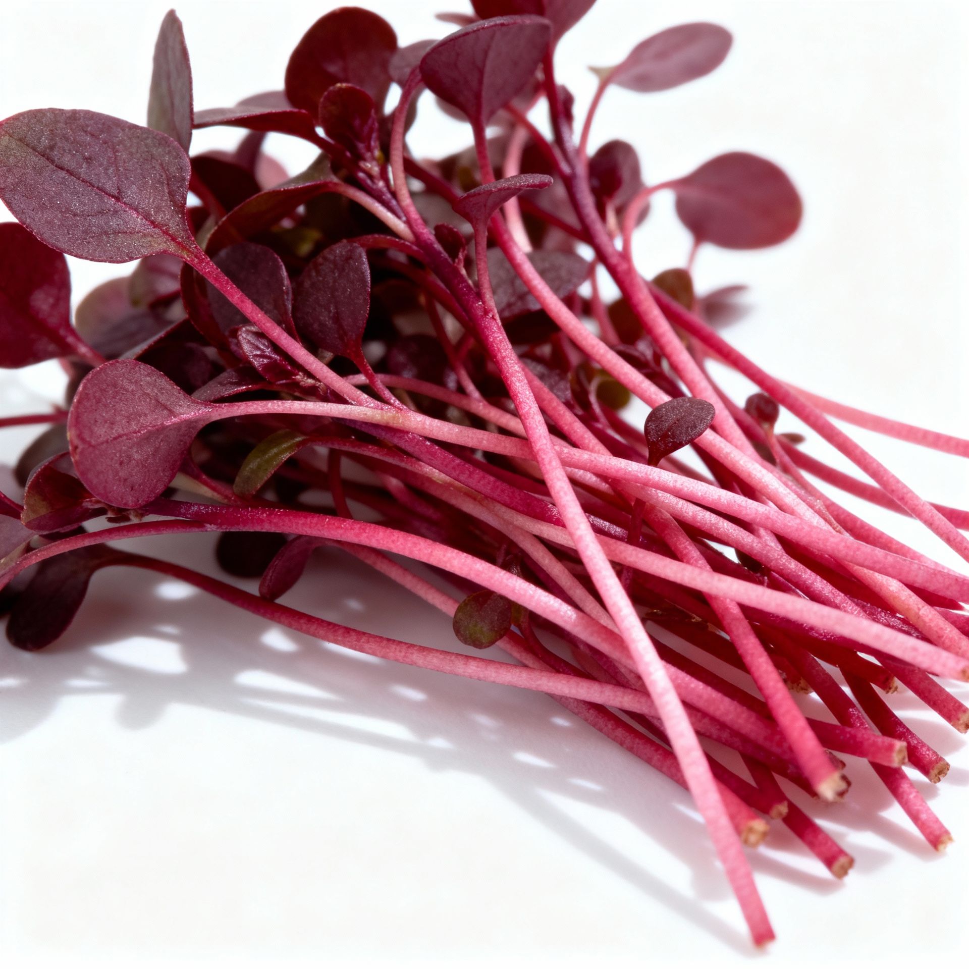 Amaranth- Red Garnet 2 oz