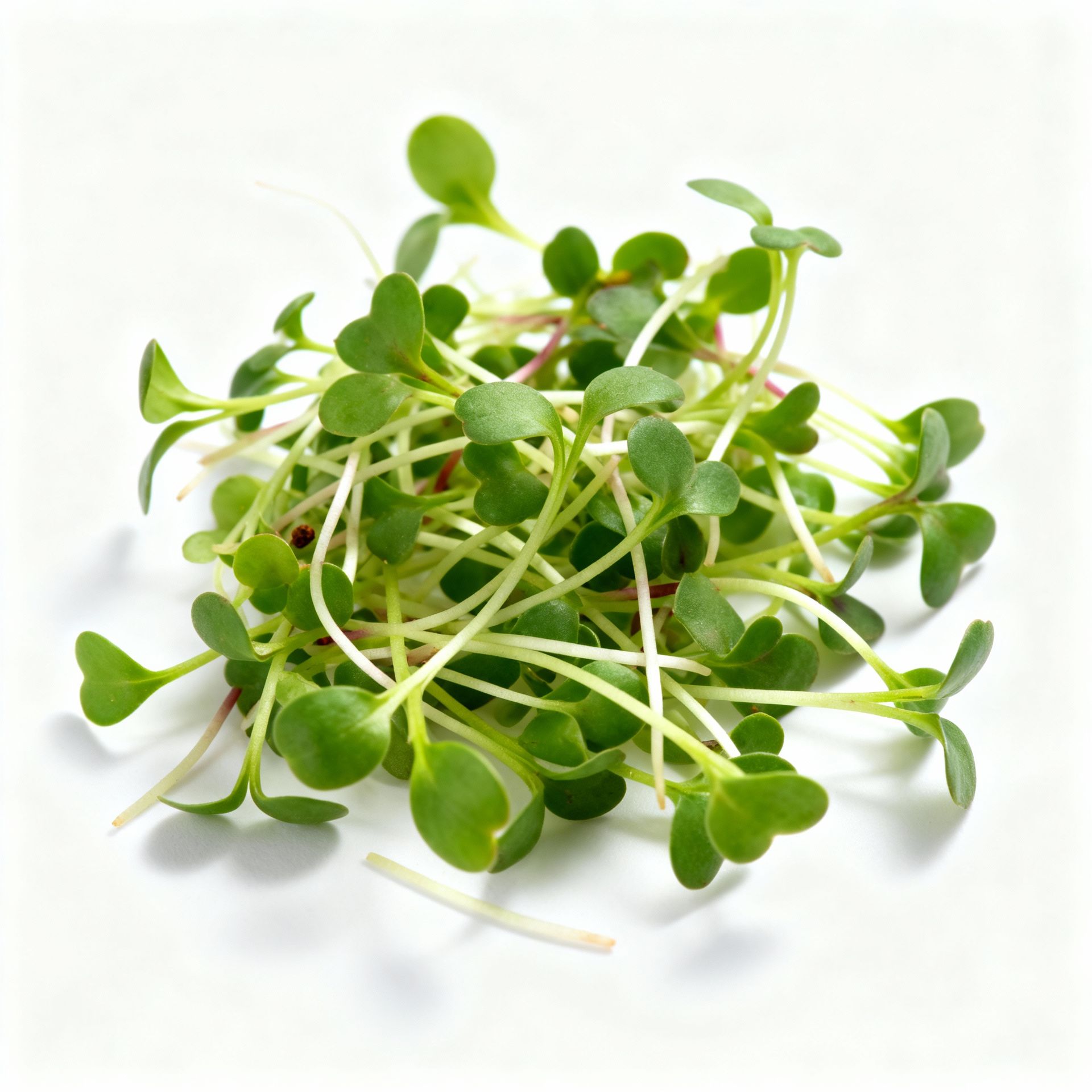 Spicy Brassica Remix 2oz