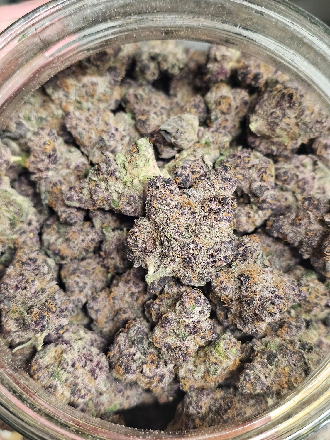 Purple Haze