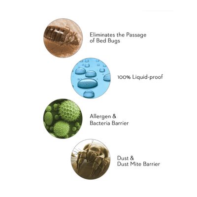 Sleep Tite Encase HD Pillow Protector, Set of 2