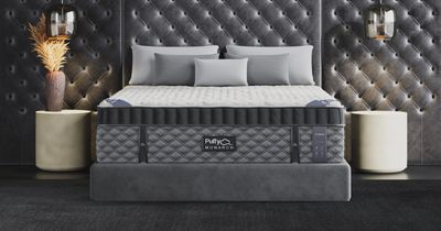 Puffy Monarch Hybrid