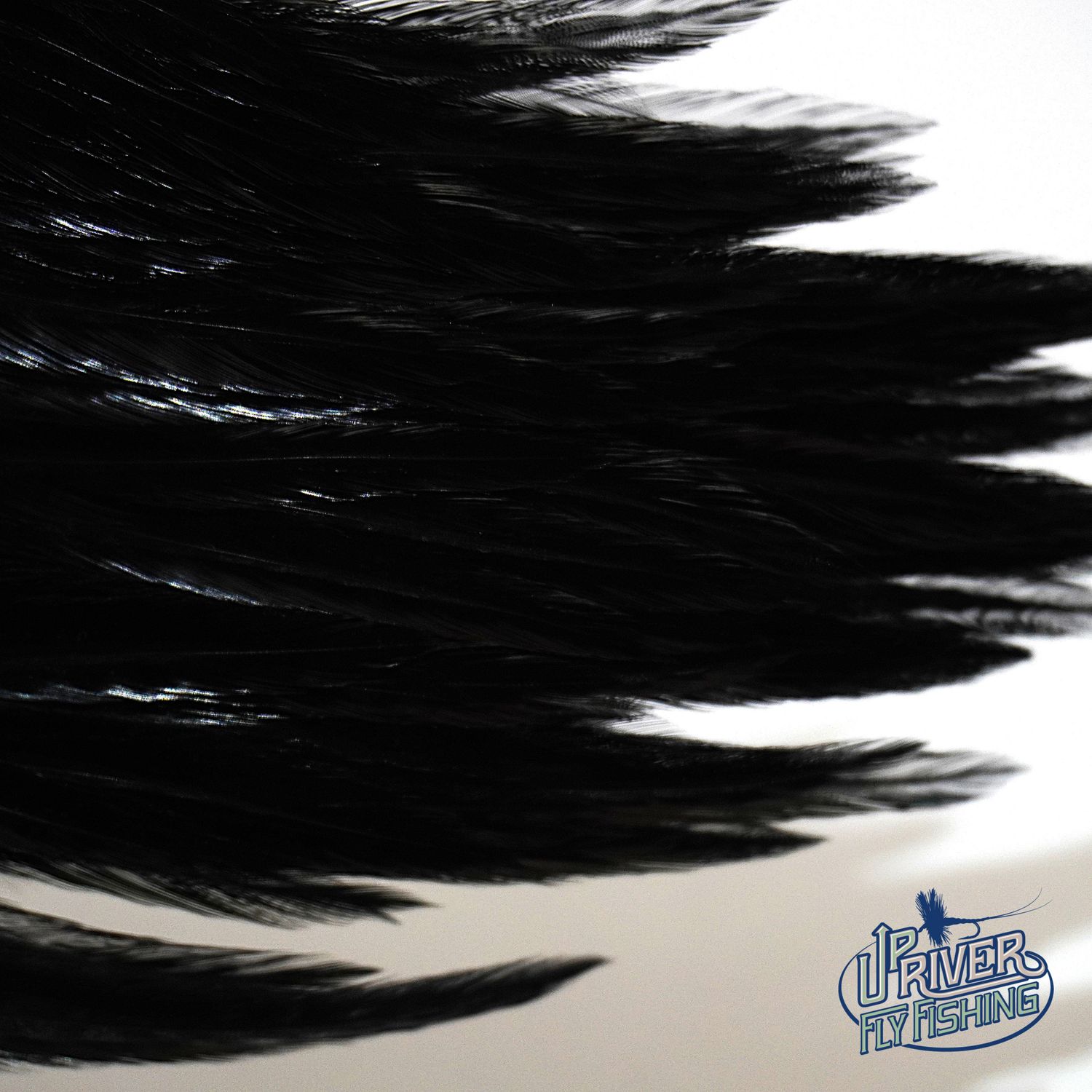 Waspi - Ewing Neck Hackle