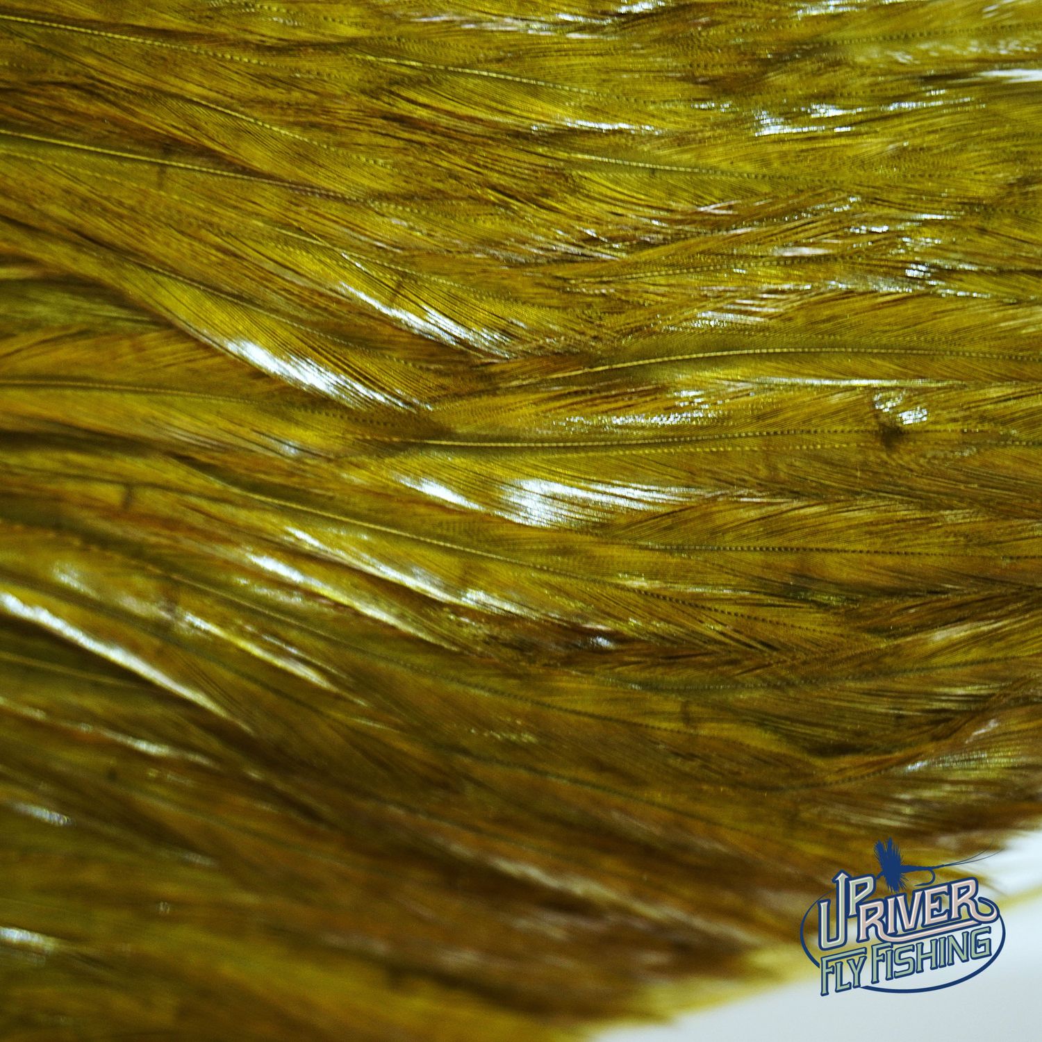 Waspi - Ewing Neck Hackle
