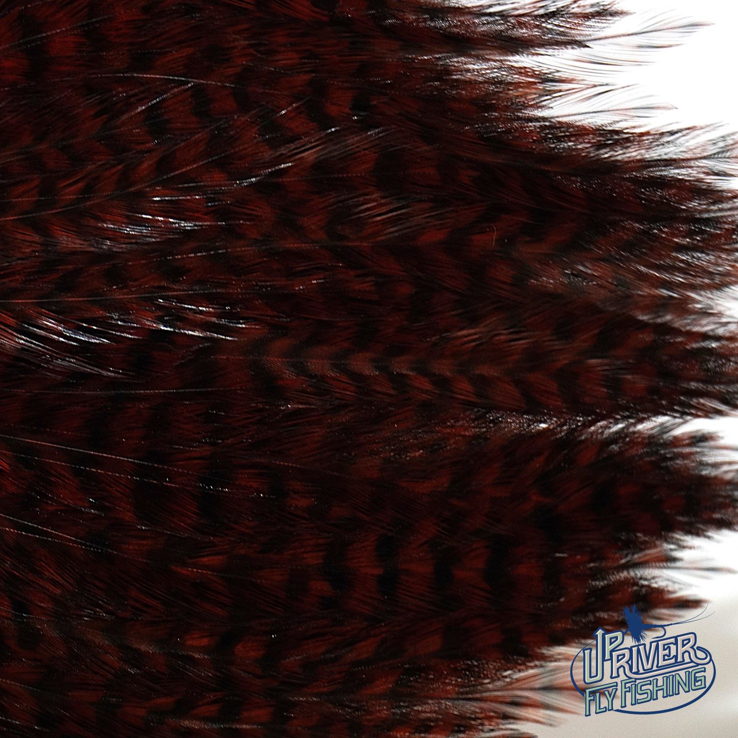 Waspi - Ewing Neck Hackle