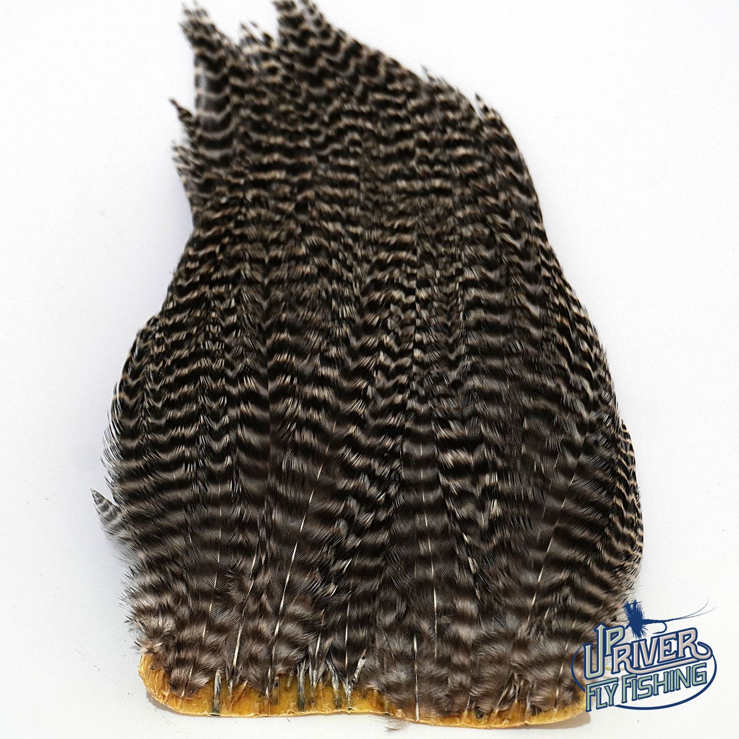 Waspi - Ewing Neck Hackle