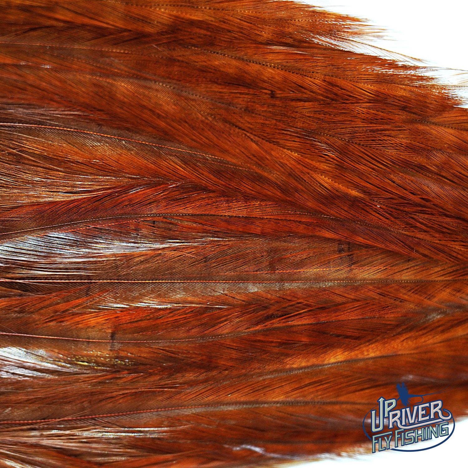 Waspi - Ewing Neck Hackle