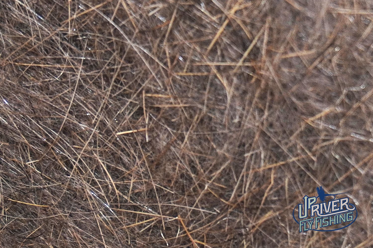 Hare's Ear Plus Dub
