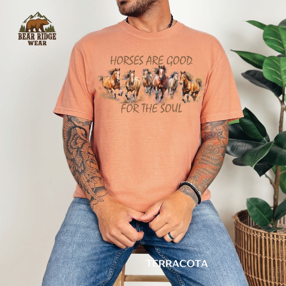 Horses Are Good For The Soul' Western T-shirt, Color: Terracotta, Size: M