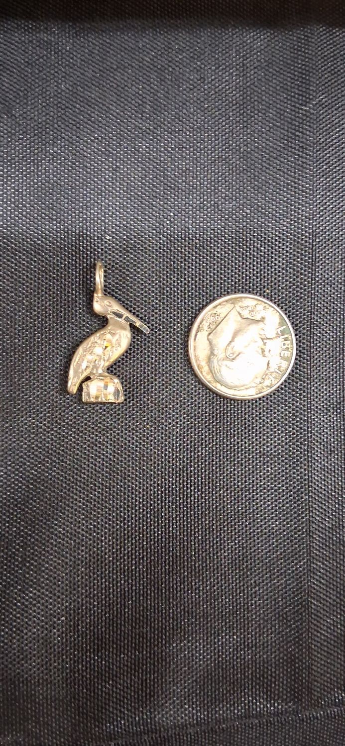 3D Perched Pelican_Copy