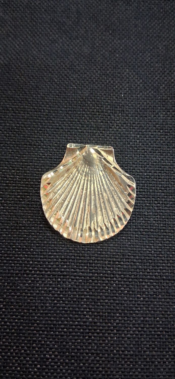 Extra Large Back of Shell