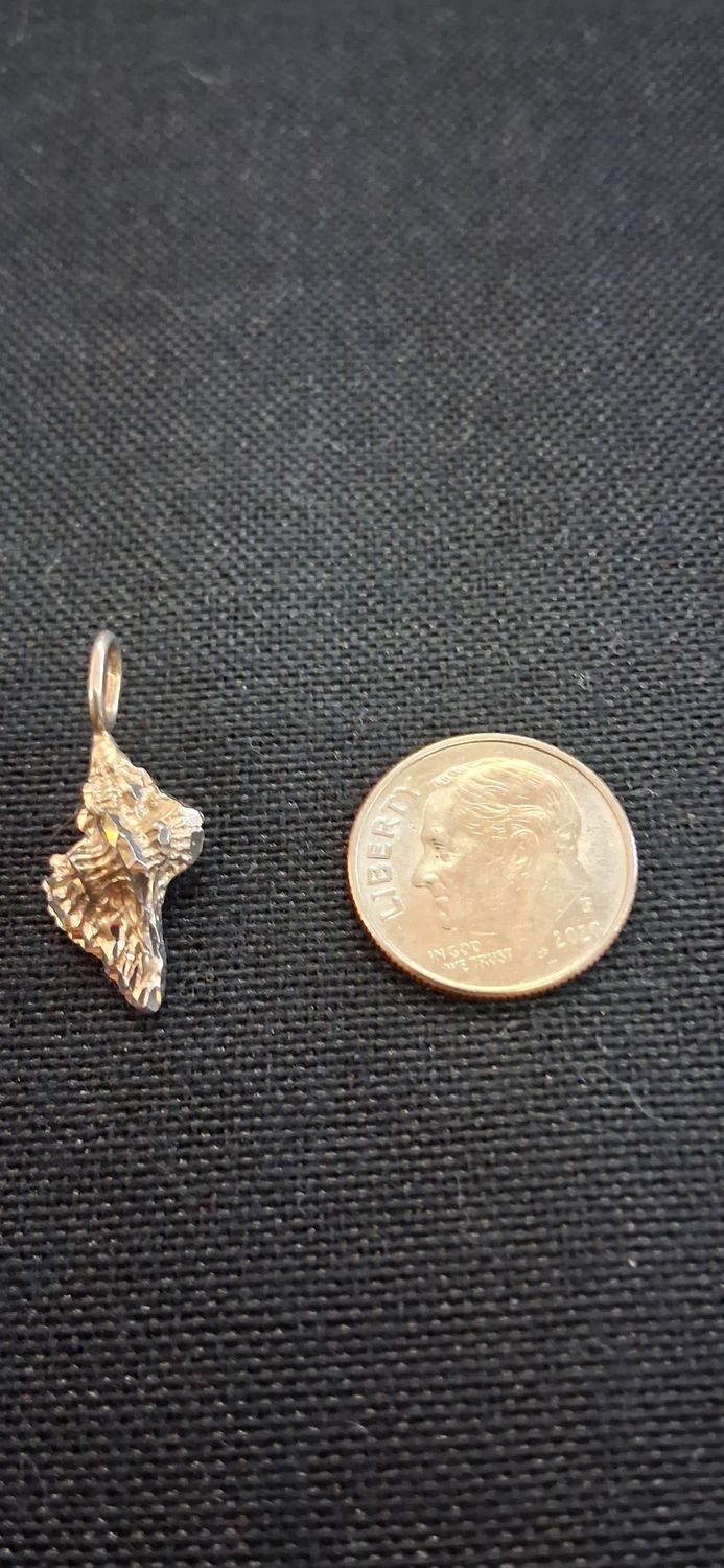 Medium Conch Shell -