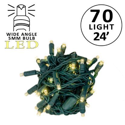 LED Light Strand 24&#39;