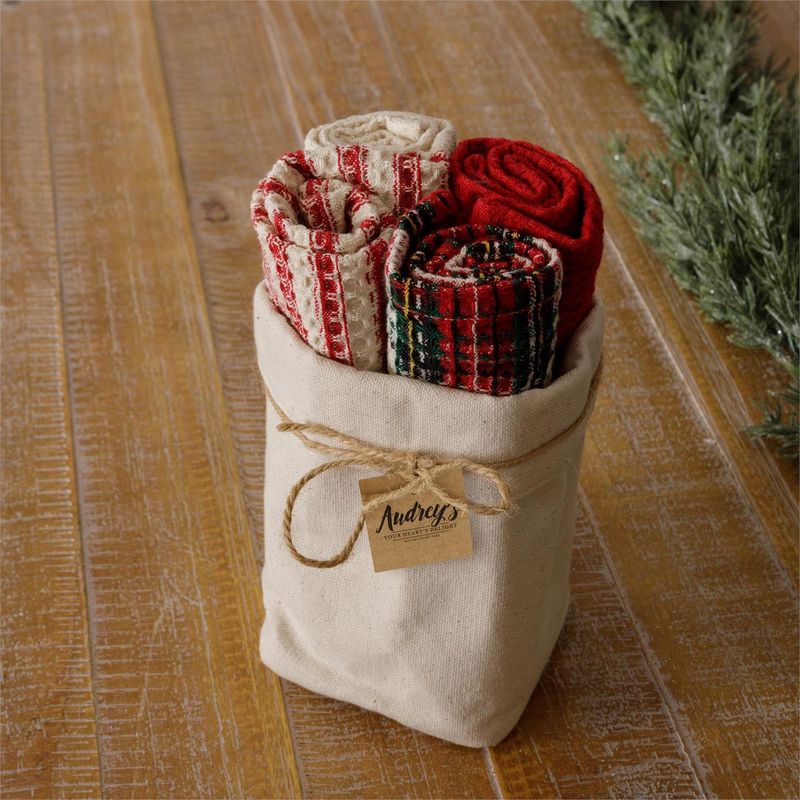Winter Dish Cloth Set of 4
