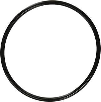 350013 PENTAIR O-RING