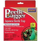 JAPANESE BEETLE BAG
