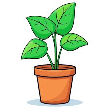 PLANTS MISCELLANEOUS
