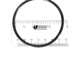 N-231 ORING