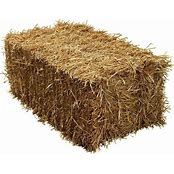 STRAW BALE STRAW BALE