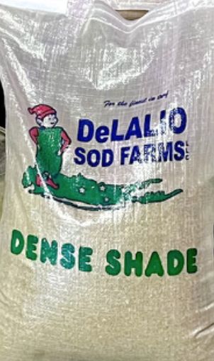 DELALIO DENSE SHADE SEED 10LB